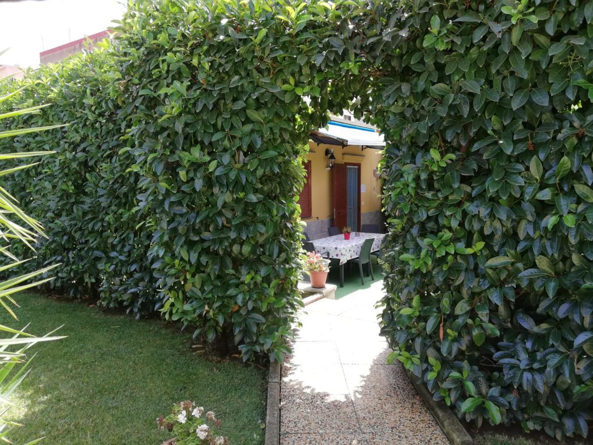 Depandance Con Piscina In Uso In Esclusivo In B&B サンタントーニオ・アバーテ エクステリア 写真